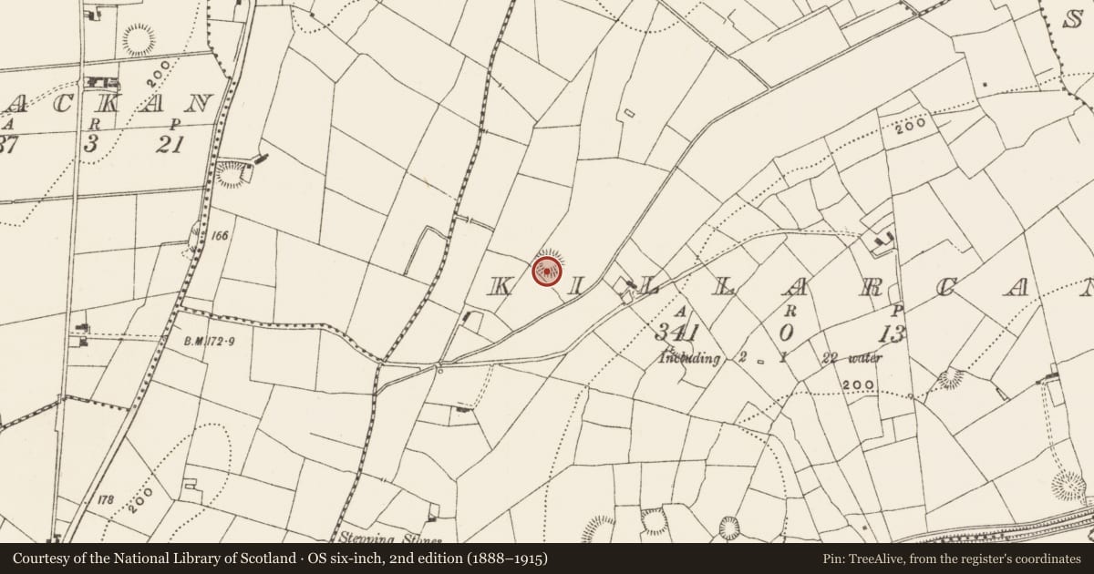 Ordnance Survey six-inch map, 2nd edition (1888–1915) covering the location of Ringfort - rath, Killarcan, County Leitrim, with a pin at the register's coordinates