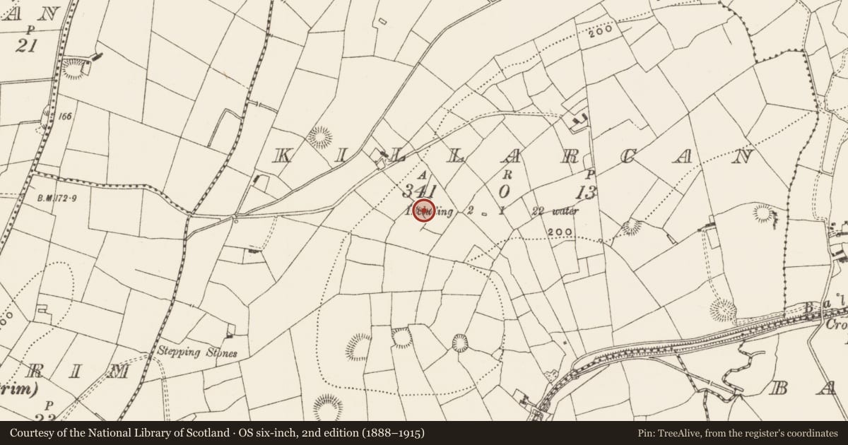 Ordnance Survey six-inch map, 2nd edition (1888–1915) covering the location of Ringfort - rath, Killarcan, County Leitrim, with a pin at the register's coordinates