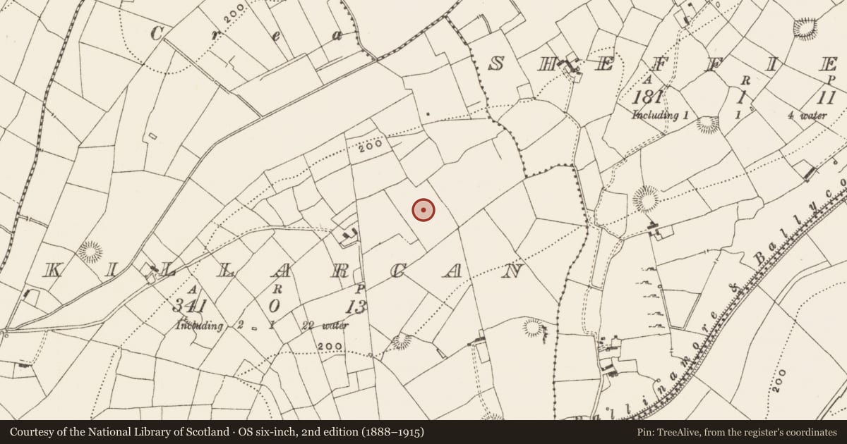 Ordnance Survey six-inch map, 2nd edition (1888–1915) covering the location of Ringfort - rath, Killarcan, County Leitrim, with a pin at the register's coordinates