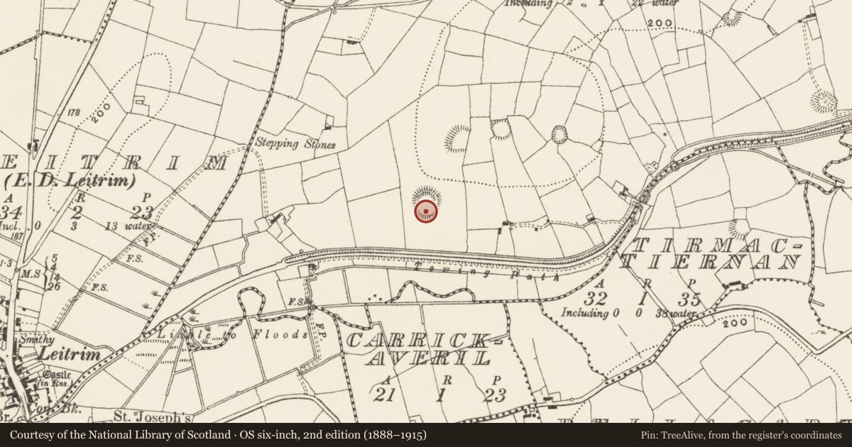 Ordnance Survey six-inch map, 2nd edition (1888–1915) covering the location of Ringfort - rath, Killarcan, County Leitrim, with a pin at the register's coordinates