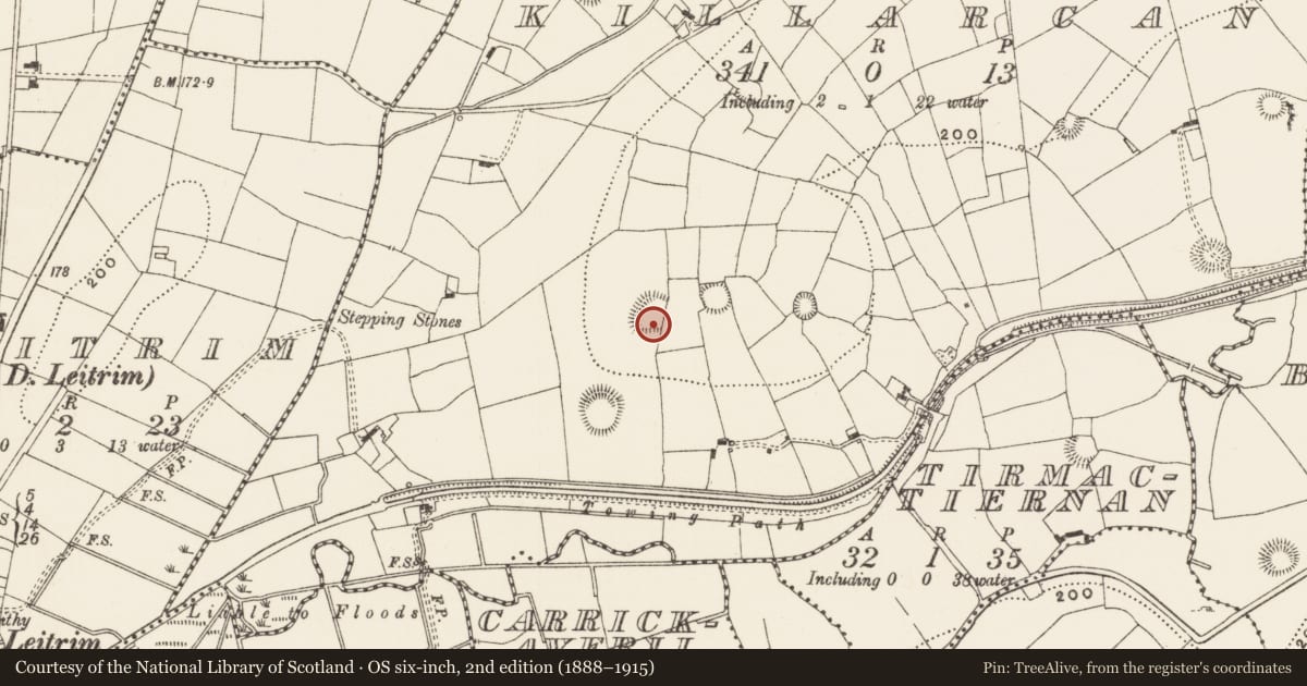 Ordnance Survey six-inch map, 2nd edition (1888–1915) covering the location of Ringfort - rath, Killarcan, County Leitrim, with a pin at the register's coordinates