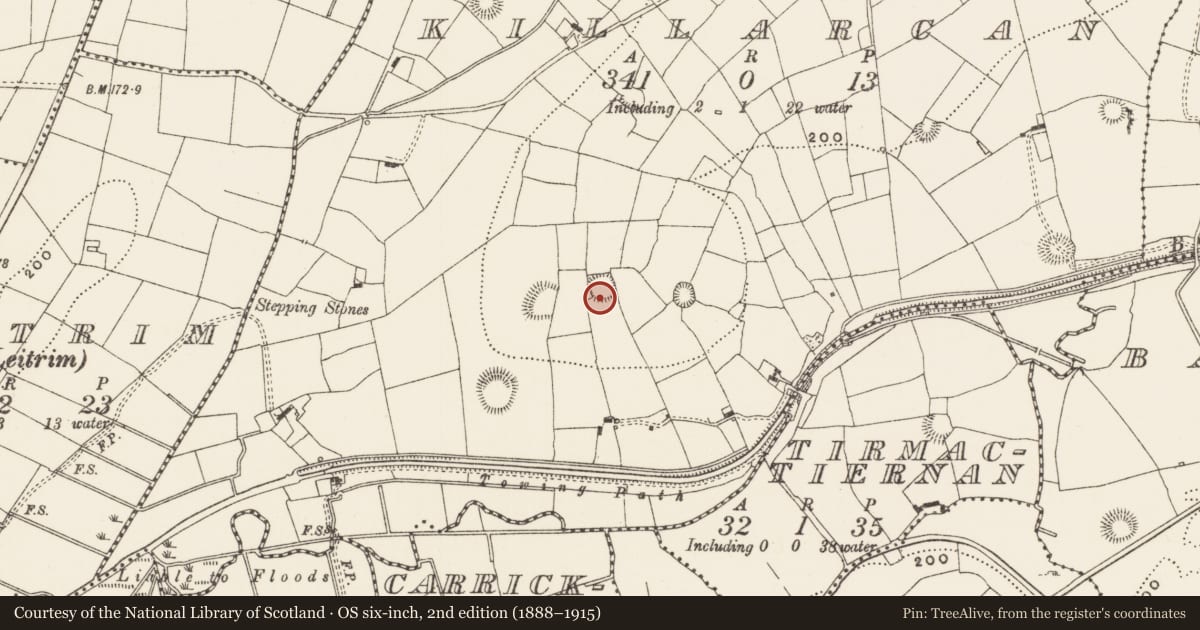 Ordnance Survey six-inch map, 2nd edition (1888–1915) covering the location of Ringfort - rath, Killarcan, County Leitrim, with a pin at the register's coordinates