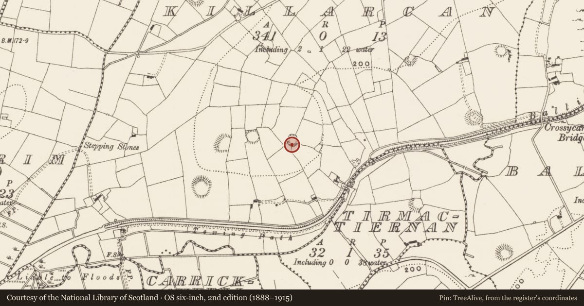 Ordnance Survey six-inch map, 2nd edition (1888–1915) covering the location of Ringfort - rath, Killarcan, County Leitrim, with a pin at the register's coordinates