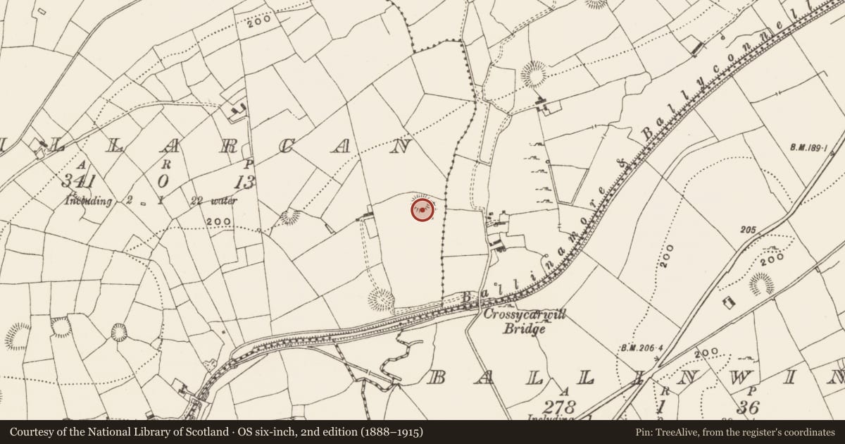 Ordnance Survey six-inch map, 2nd edition (1888–1915) covering the location of Ringfort - cashel, Killarcan, County Leitrim, with a pin at the register's coordinates