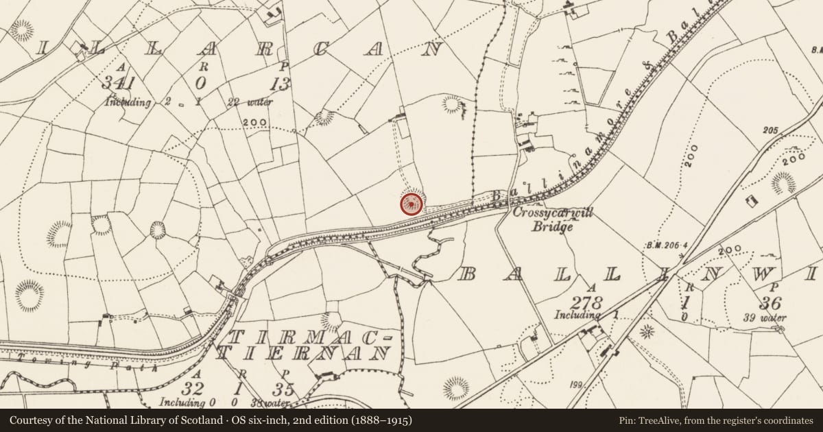 Ordnance Survey six-inch map, 2nd edition (1888–1915) covering the location of Ringfort - rath, Killarcan, County Leitrim, with a pin at the register's coordinates