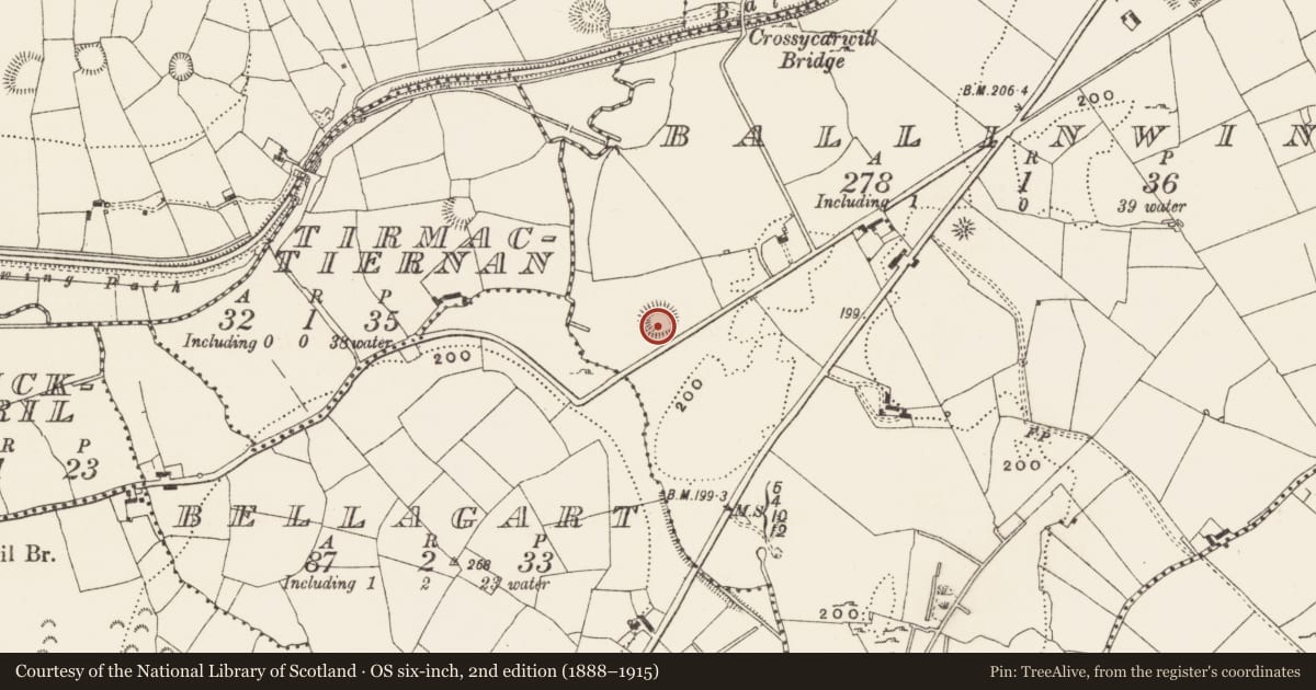 Ordnance Survey six-inch map, 2nd edition (1888–1915) covering the location of Ringfort - rath, Ballinwing, County Leitrim, with a pin at the register's coordinates