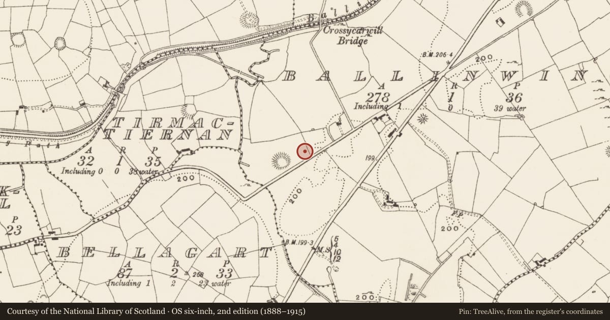 Ordnance Survey six-inch map, 2nd edition (1888–1915) covering the location of Hut site, Ballinwing, County Leitrim, with a pin at the register's coordinates