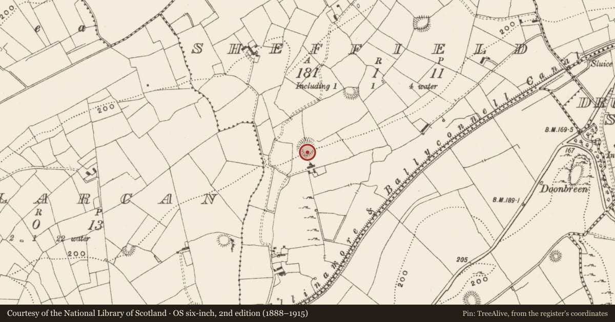 Ordnance Survey six-inch map, 2nd edition (1888–1915) covering the location of Ringfort - rath, Sheffield, County Leitrim, with a pin at the register's coordinates