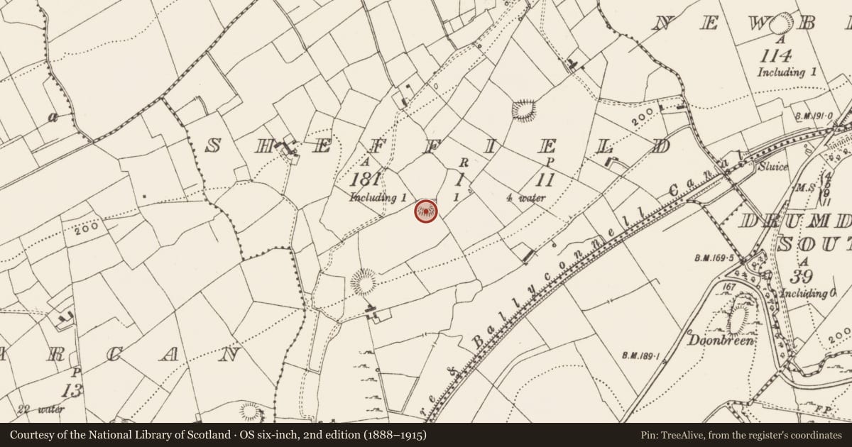 Ordnance Survey six-inch map, 2nd edition (1888–1915) covering the location of Ringfort - rath, Sheffield, County Leitrim, with a pin at the register's coordinates