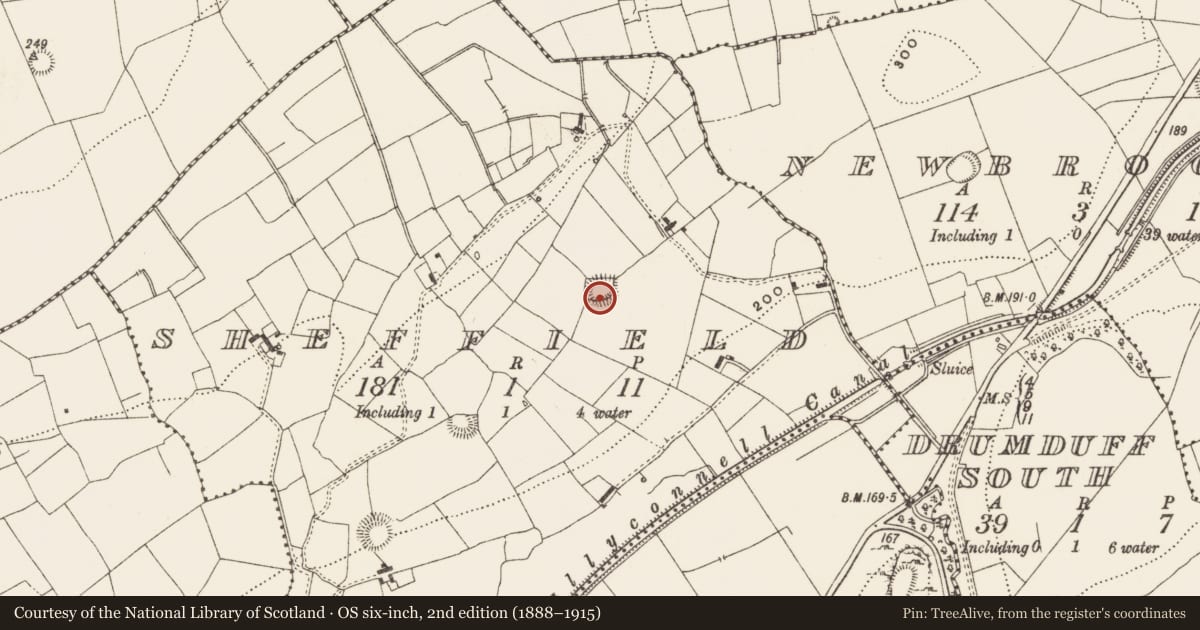 Ordnance Survey six-inch map, 2nd edition (1888–1915) covering the location of Ringfort - rath, Sheffield, County Leitrim, with a pin at the register's coordinates