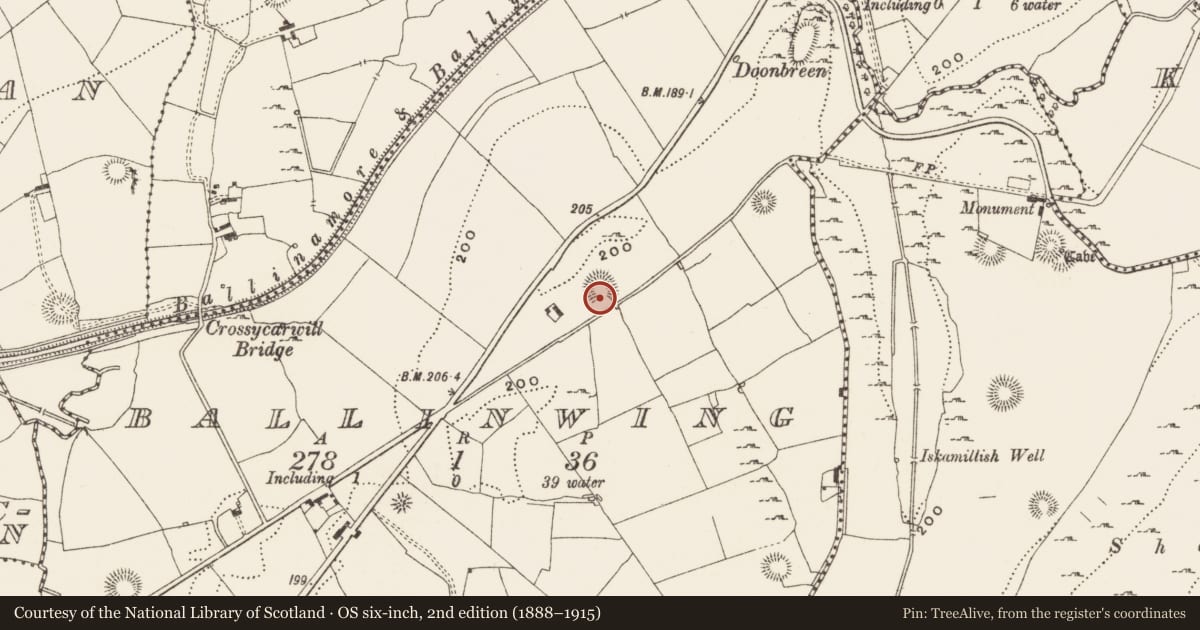 Ordnance Survey six-inch map, 2nd edition (1888–1915) covering the location of Ringfort - unclassified, Ballinwing, County Leitrim, with a pin at the register's coordinates