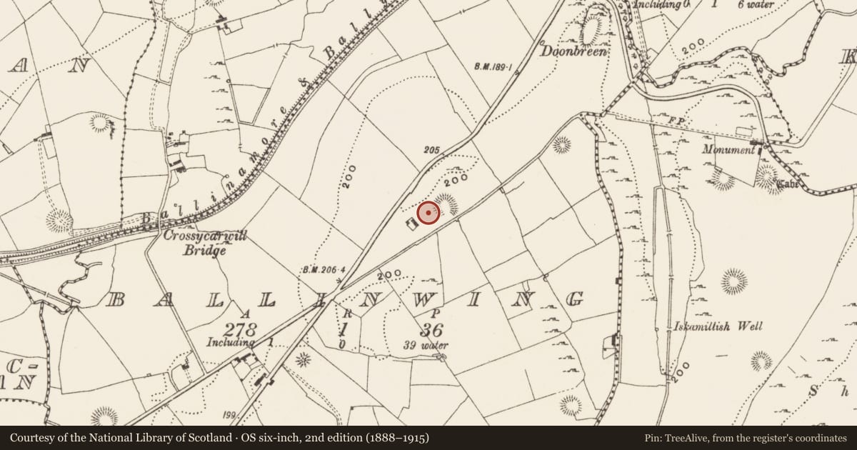 Ordnance Survey six-inch map, 2nd edition (1888–1915) covering the location of Standing stone, Ballinwing, County Leitrim, with a pin at the register's coordinates