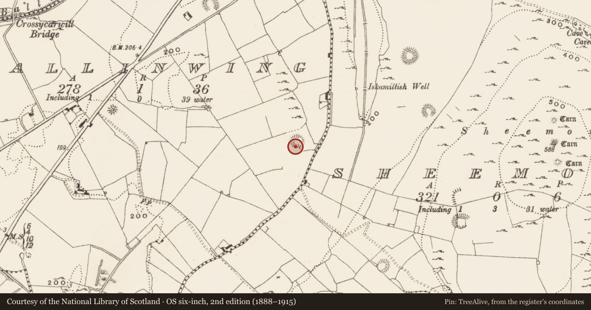 Ordnance Survey six-inch map, 2nd edition (1888–1915) covering the location of Ringfort - rath, Ballinwing, County Leitrim, with a pin at the register's coordinates