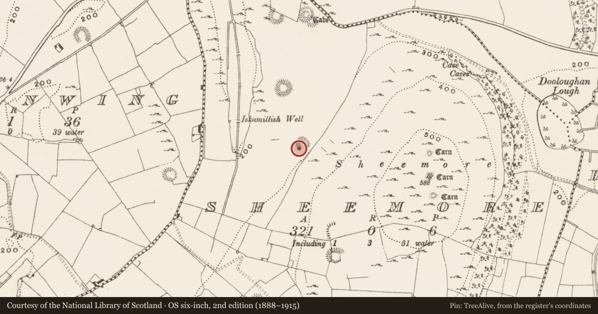 Ordnance Survey six-inch map, 2nd edition (1888–1915) covering the location of Ringfort - rath, Sheemore, County Leitrim, with a pin at the register's coordinates