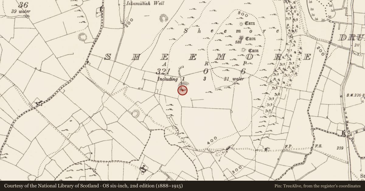 Ordnance Survey six-inch map, 2nd edition (1888–1915) covering the location of Ringfort - cashel, Sheemore, County Leitrim, with a pin at the register's coordinates