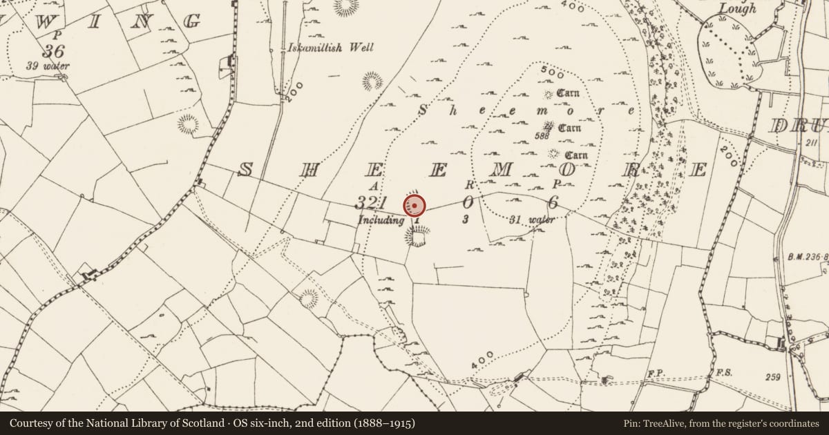 Ordnance Survey six-inch map, 2nd edition (1888–1915) covering the location of Enclosure, Sheemore, County Leitrim, with a pin at the register's coordinates