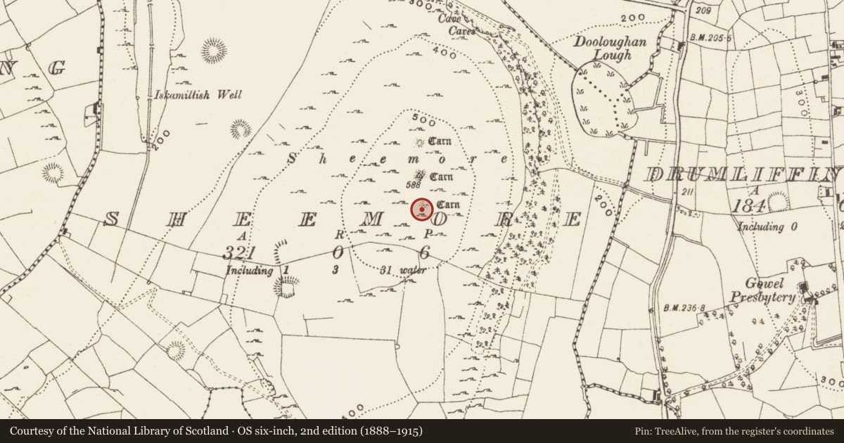 Ordnance Survey six-inch map, 2nd edition (1888–1915) covering the location of Megalithic tomb - passage tomb, Sheemore, County Leitrim, with a pin at the register's coordinates