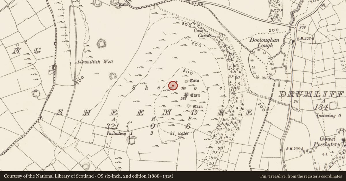 Ordnance Survey six-inch map, 2nd edition (1888–1915) covering the location of Field system, Sheemore, County Leitrim, with a pin at the register's coordinates