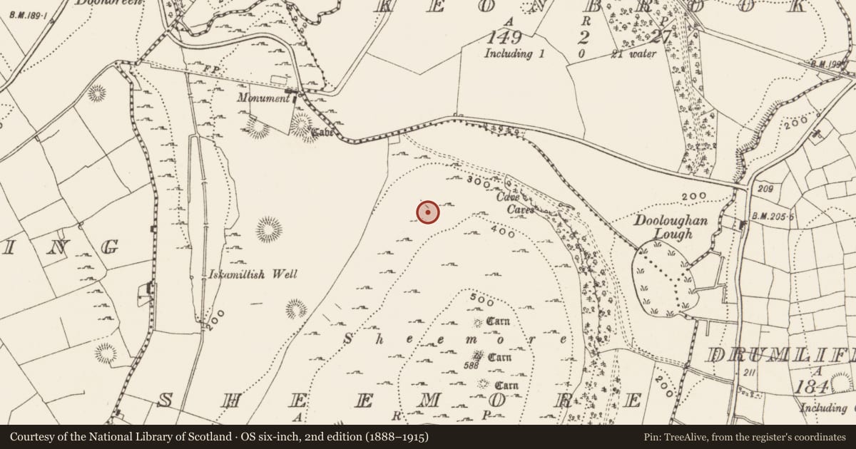 Ordnance Survey six-inch map, 2nd edition (1888–1915) covering the location of Enclosure, Sheemore, County Leitrim, with a pin at the register's coordinates