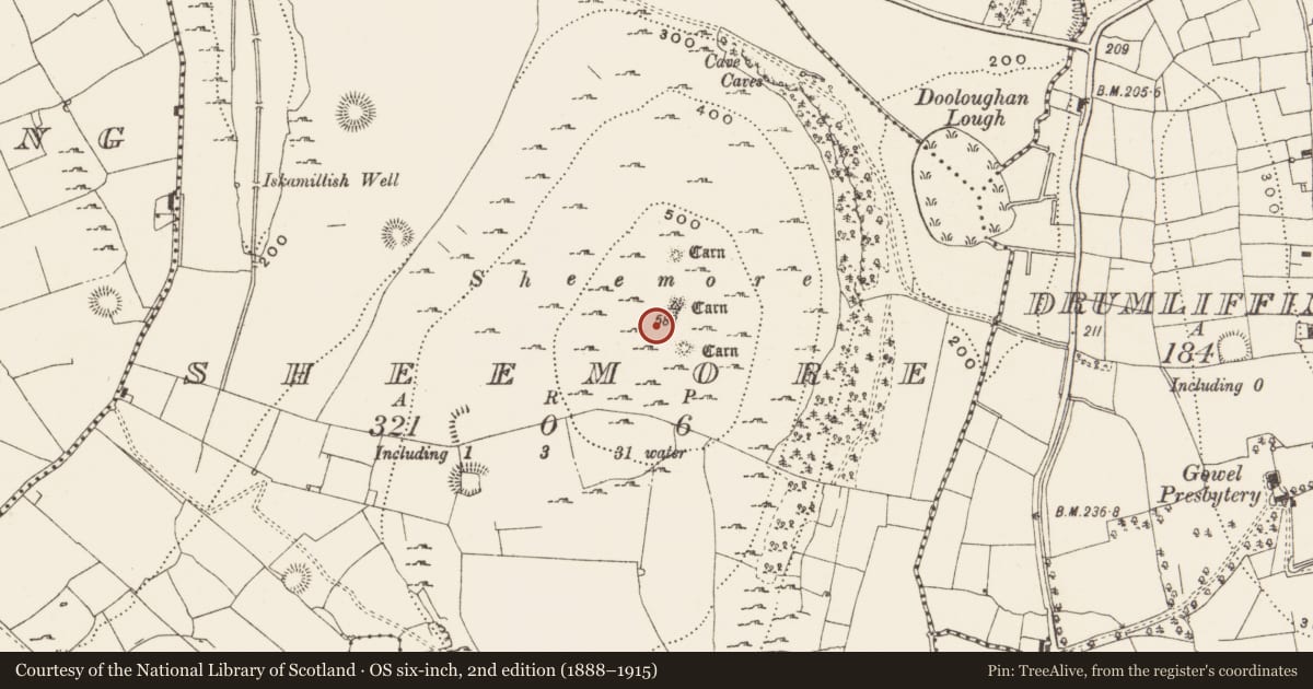 Ordnance Survey six-inch map, 2nd edition (1888–1915) covering the location of Hilltop enclosure, Sheemore, County Leitrim, with a pin at the register's coordinates