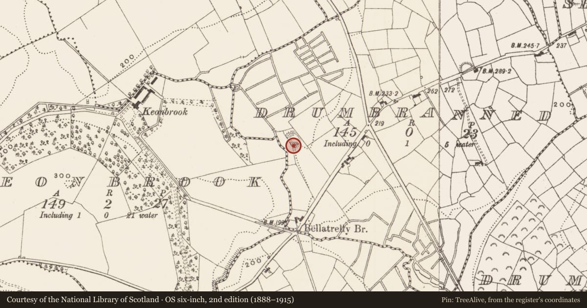 Ordnance Survey six-inch map, 2nd edition (1888–1915) covering the location of Ringfort - rath, Drumbranned, County Leitrim, with a pin at the register's coordinates