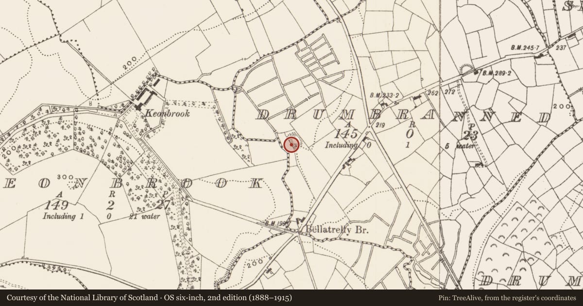 Ordnance Survey six-inch map, 2nd edition (1888–1915) covering the location of Souterrain, Drumbranned, County Leitrim, with a pin at the register's coordinates