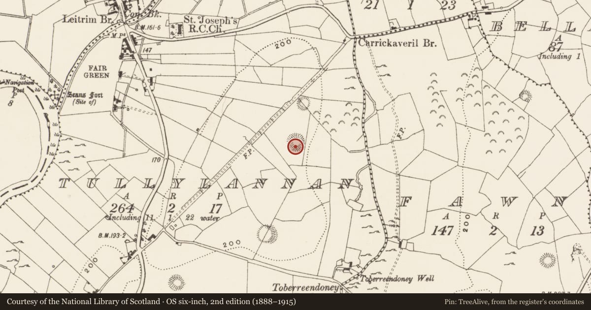 Ordnance Survey six-inch map, 2nd edition (1888–1915) covering the location of Ringfort - rath, Tullylannan, County Leitrim, with a pin at the register's coordinates