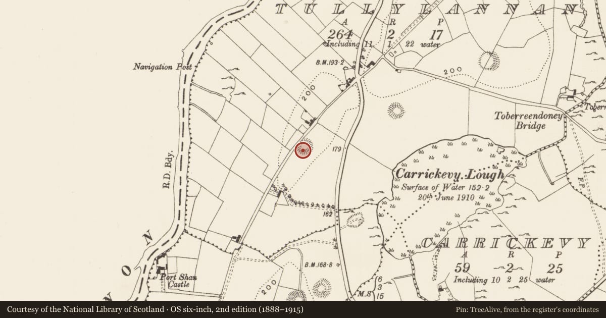 Ordnance Survey six-inch map, 2nd edition (1888–1915) covering the location of Ringfort - rath, Tullylannan, County Leitrim, with a pin at the register's coordinates