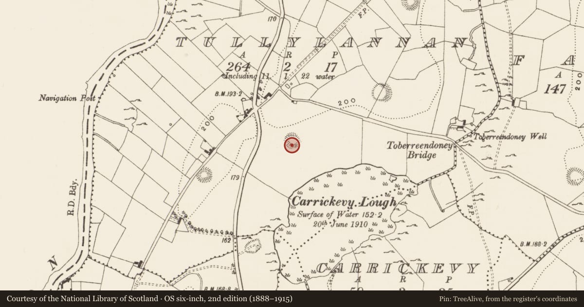 Ordnance Survey six-inch map, 2nd edition (1888–1915) covering the location of Ringfort - rath, Tullylannan, County Leitrim, with a pin at the register's coordinates
