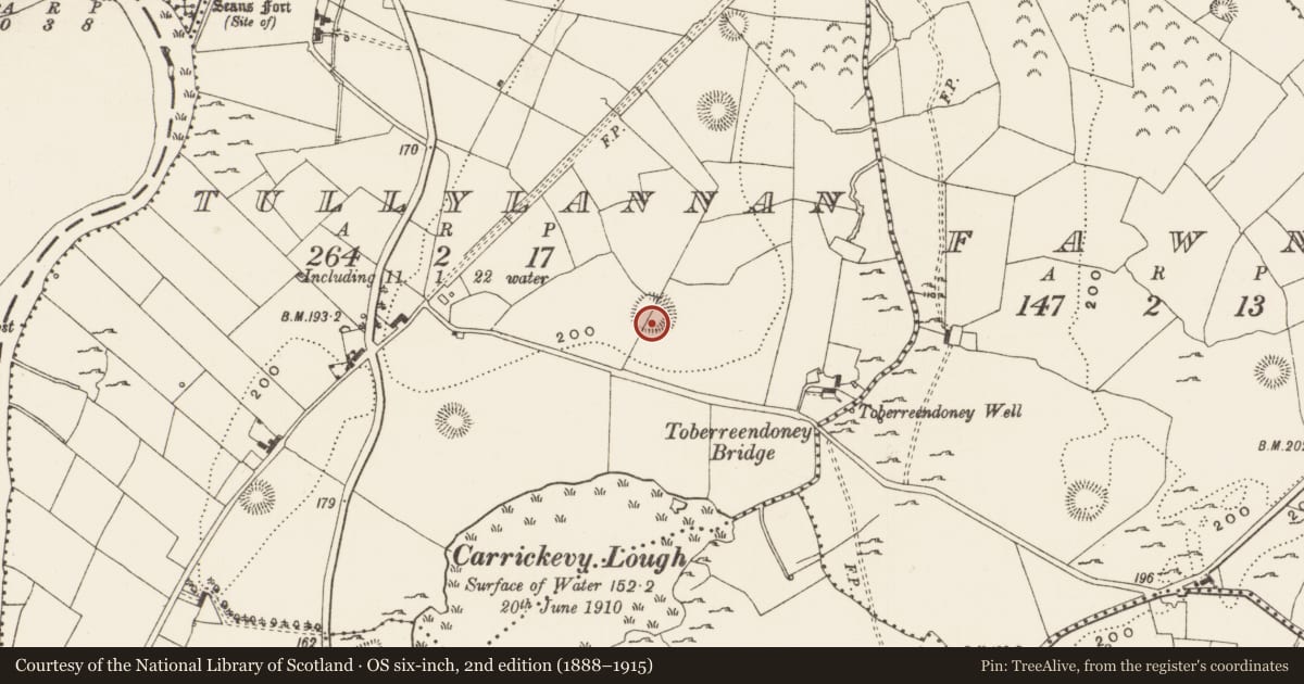 Ordnance Survey six-inch map, 2nd edition (1888–1915) covering the location of Ringfort - rath, Tullylannan, County Leitrim, with a pin at the register's coordinates