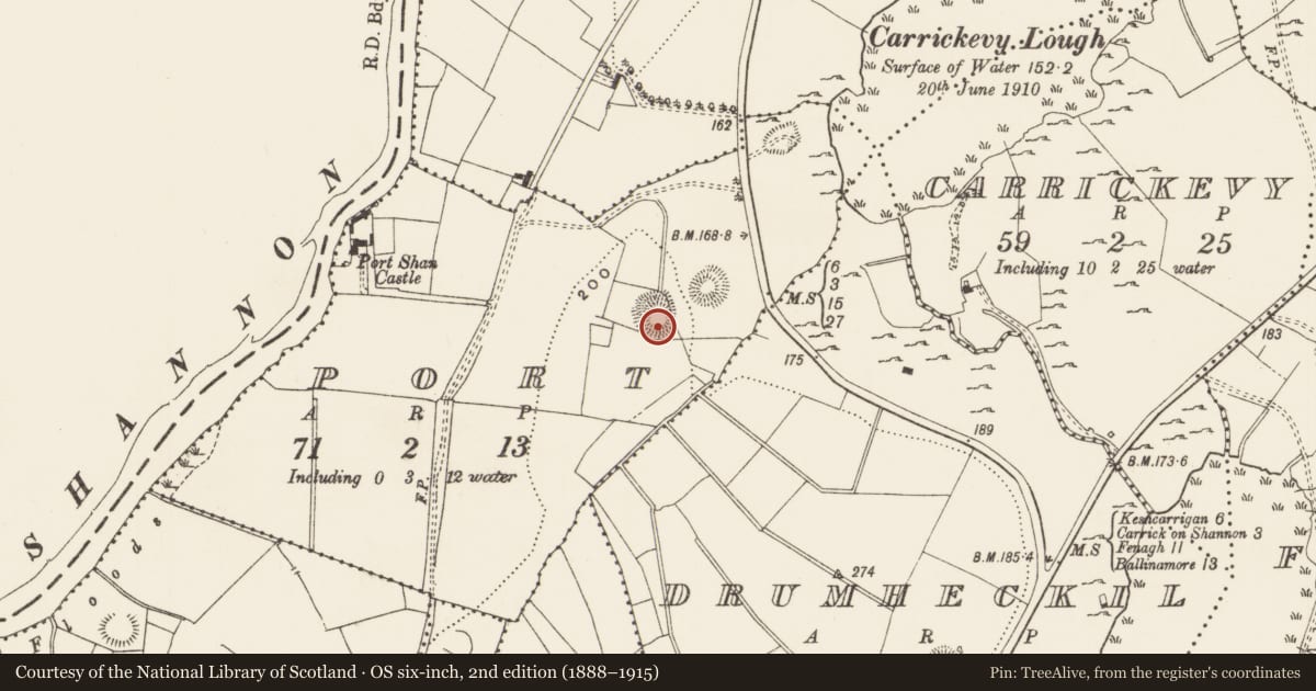 Ordnance Survey six-inch map, 2nd edition (1888–1915) covering the location of Ringfort - rath, Port, County Leitrim, with a pin at the register's coordinates