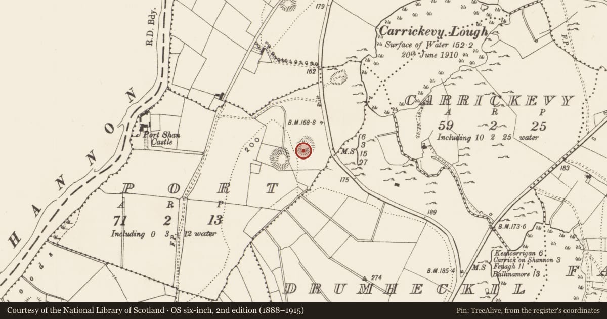 Ordnance Survey six-inch map, 2nd edition (1888–1915) covering the location of Ringfort - rath, Port, County Leitrim, with a pin at the register's coordinates