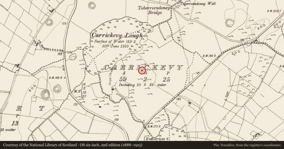 Ordnance Survey six-inch map, 2nd edition (1888–1915) covering the location of Enclosure, Carrickevy, County Leitrim, with a pin at the register's coordinates