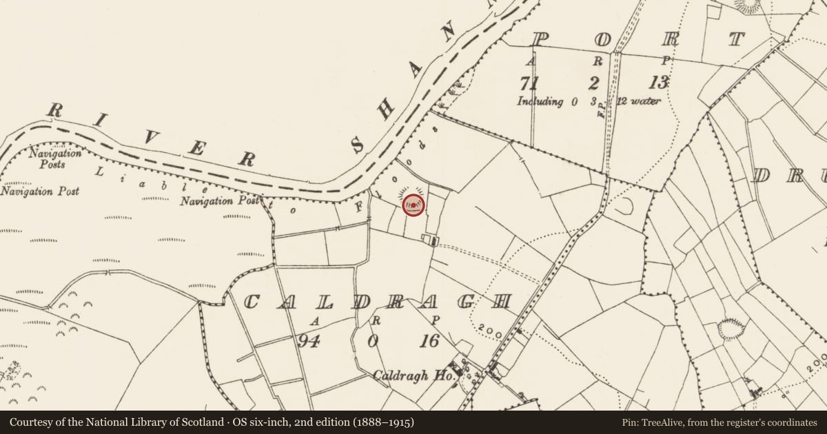 Ordnance Survey six-inch map, 2nd edition (1888–1915) covering the location of Ringfort - rath, Caldragh, County Leitrim, with a pin at the register's coordinates