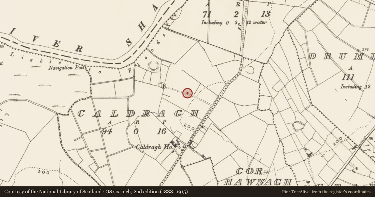 Ordnance Survey six-inch map, 2nd edition (1888–1915) covering the location of Enclosure, Caldragh, County Leitrim, with a pin at the register's coordinates