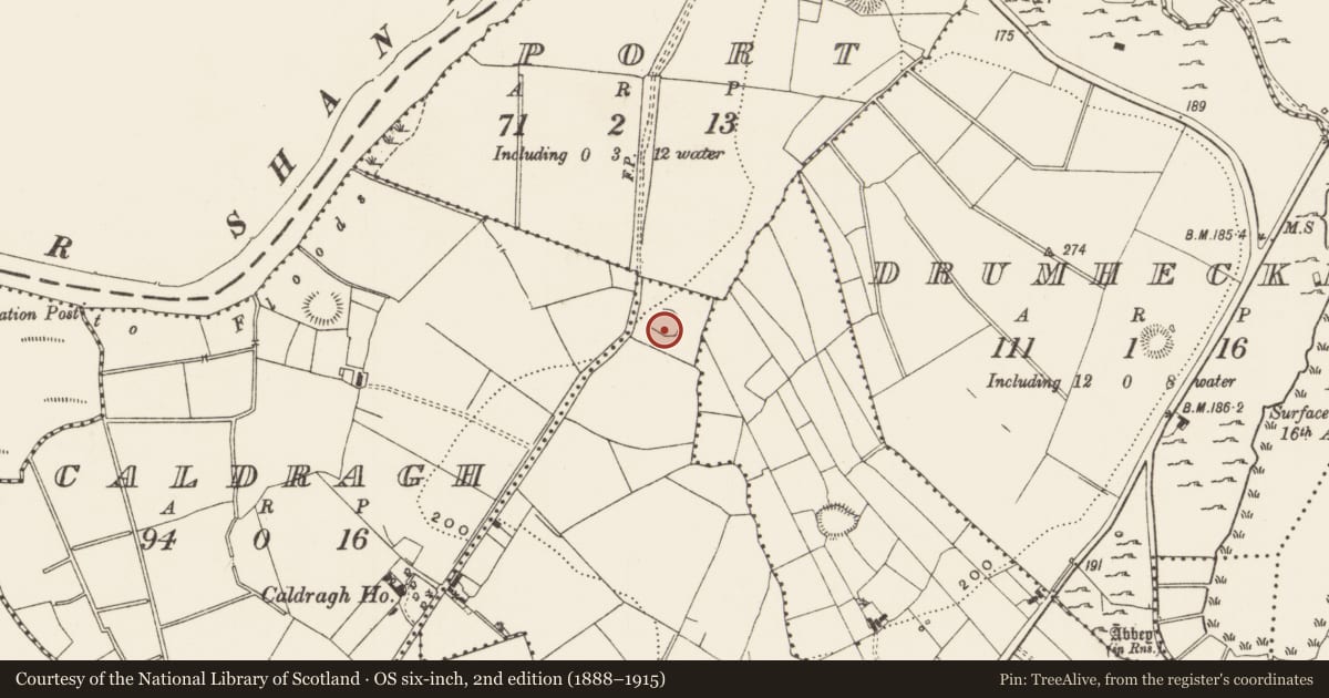 Ordnance Survey six-inch map, 2nd edition (1888–1915) covering the location of Enclosure, Corhawnagh, County Leitrim, with a pin at the register's coordinates