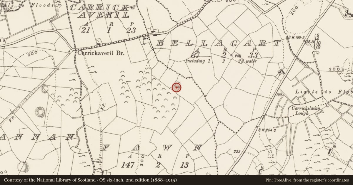 Ordnance Survey six-inch map, 2nd edition (1888–1915) covering the location of Ringfort - rath, Fawn, County Leitrim, with a pin at the register's coordinates