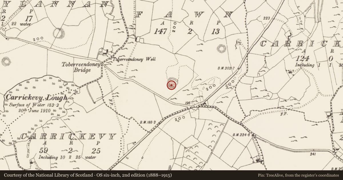 Ordnance Survey six-inch map, 2nd edition (1888–1915) covering the location of Ringfort - rath, Fawn, County Leitrim, with a pin at the register's coordinates