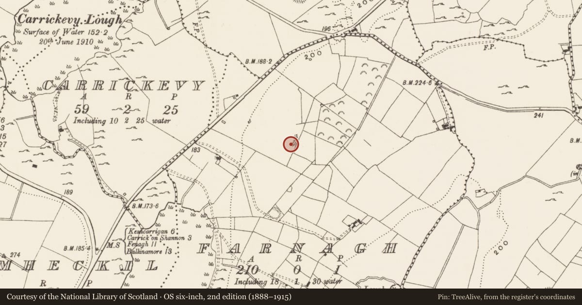 Ordnance Survey six-inch map, 2nd edition (1888–1915) covering the location of Ringfort - rath, Farnagh, County Leitrim, with a pin at the register's coordinates