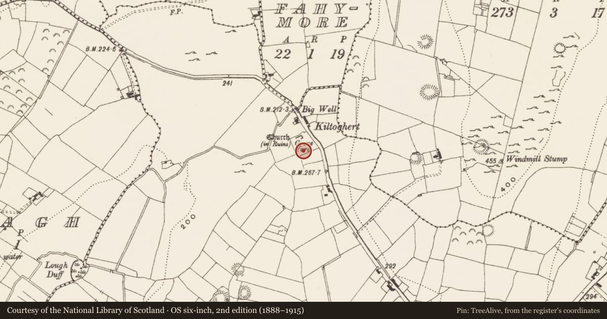 Ordnance Survey six-inch map, 2nd edition (1888–1915) covering the location of Graveyard, Kiltoghert, County Leitrim, with a pin at the register's coordinates