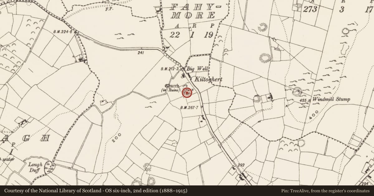 Ordnance Survey six-inch map, 2nd edition (1888–1915) covering the location of Graveslab, Kiltoghert, County Leitrim, with a pin at the register's coordinates