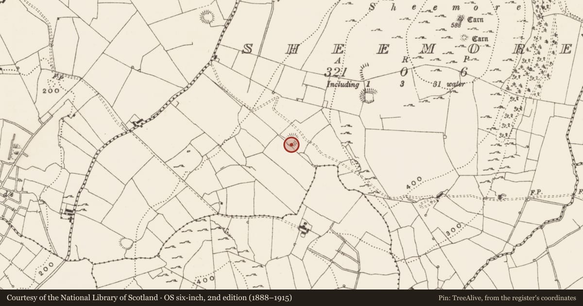 Ordnance Survey six-inch map, 2nd edition (1888–1915) covering the location of Ringfort - rath, Sheemore, County Leitrim, with a pin at the register's coordinates