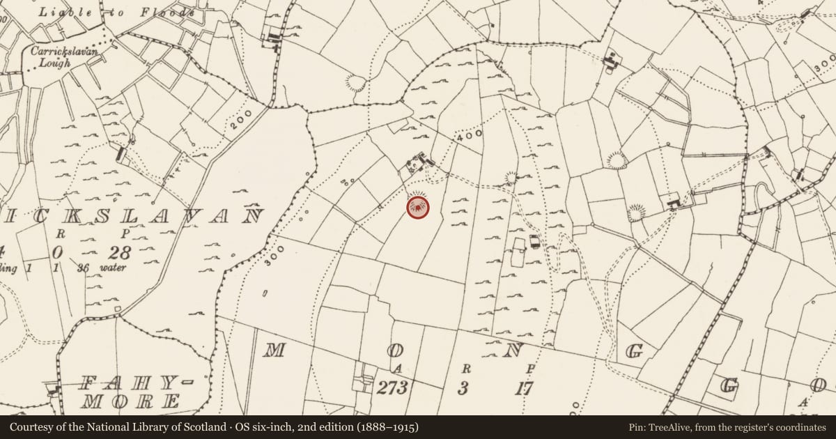 Ordnance Survey six-inch map, 2nd edition (1888–1915) covering the location of Ringfort - rath, Mong, County Leitrim, with a pin at the register's coordinates