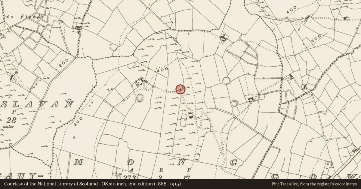 Ordnance Survey six-inch map, 2nd edition (1888–1915) covering the location of Ringfort - cashel, Mong, County Leitrim, with a pin at the register's coordinates