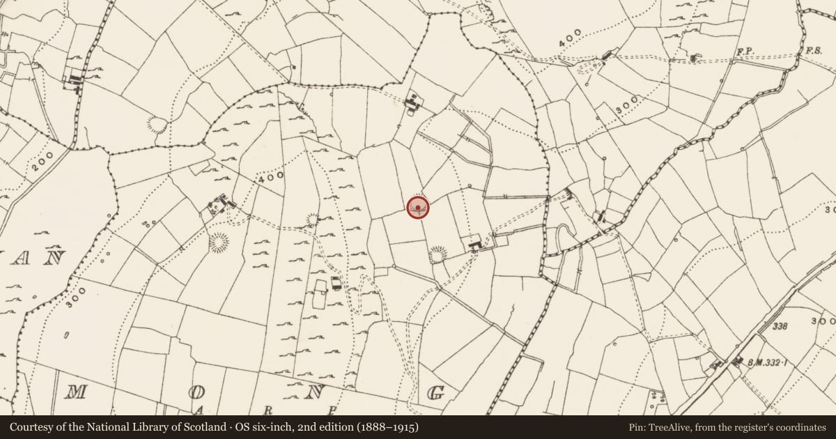 Ordnance Survey six-inch map, 2nd edition (1888–1915) covering the location of Ringfort - rath, Mong, County Leitrim, with a pin at the register's coordinates