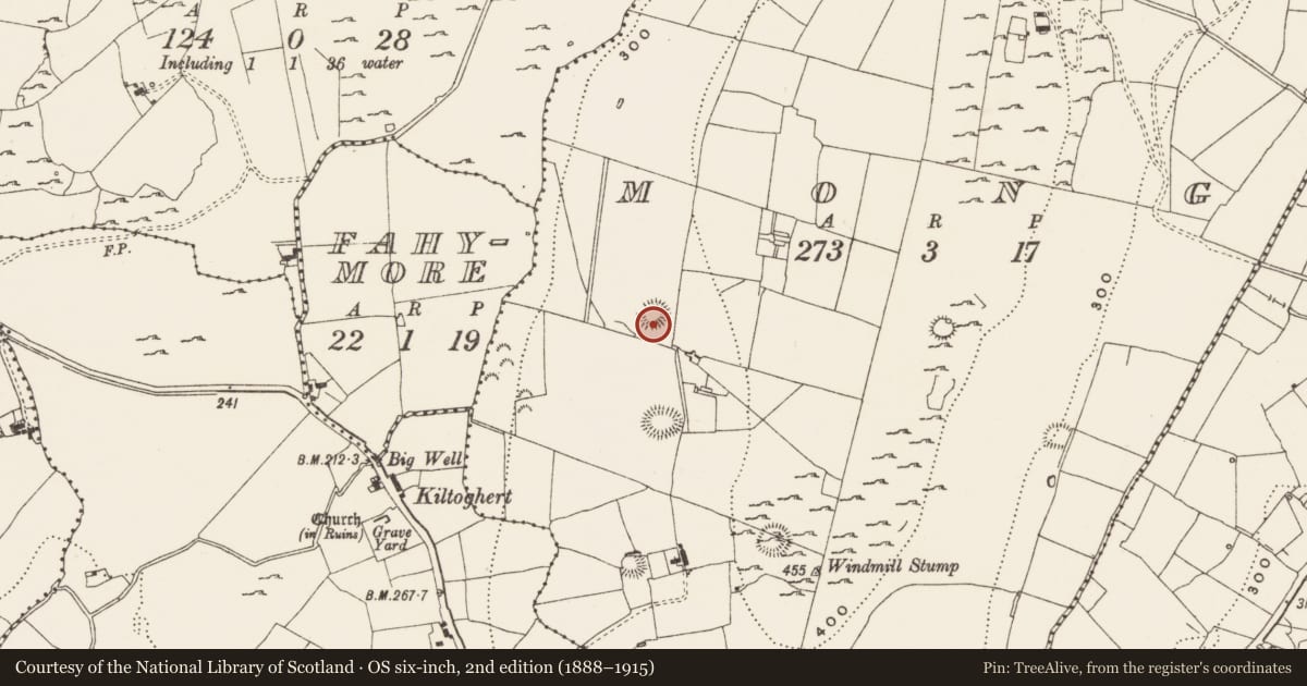 Ordnance Survey six-inch map, 2nd edition (1888–1915) covering the location of Ringfort - rath, Mong, County Leitrim, with a pin at the register's coordinates