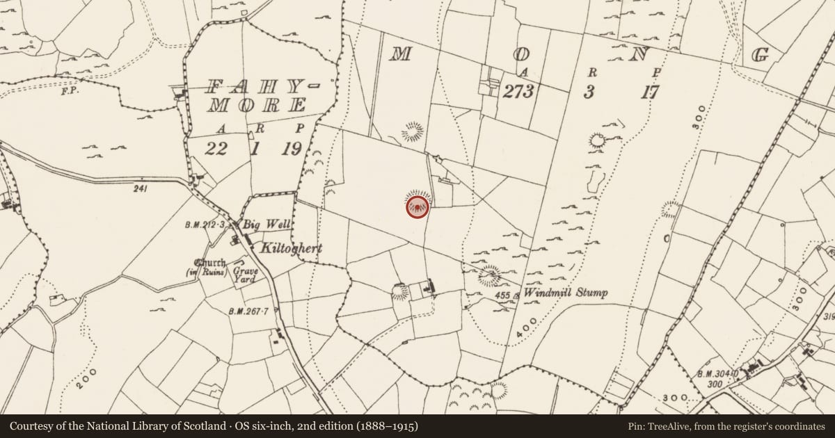 Ordnance Survey six-inch map, 2nd edition (1888–1915) covering the location of Ringfort - rath, Mong, County Leitrim, with a pin at the register's coordinates