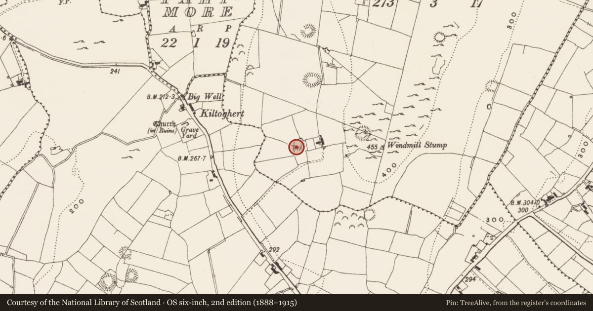 Ordnance Survey six-inch map, 2nd edition (1888–1915) covering the location of Ringfort - rath, Mong, County Leitrim, with a pin at the register's coordinates