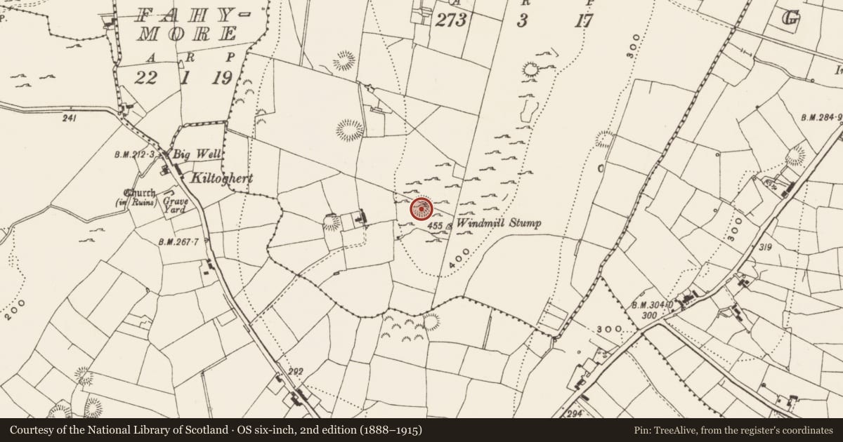 Ordnance Survey six-inch map, 2nd edition (1888–1915) covering the location of Ringfort - cashel, Mong, County Leitrim, with a pin at the register's coordinates