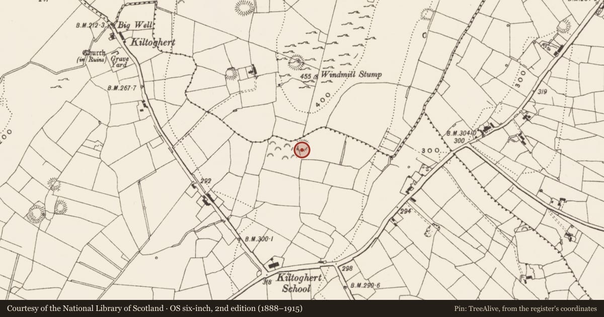 Ordnance Survey six-inch map, 2nd edition (1888–1915) covering the location of Ringfort - rath, Kiltoghert, County Leitrim, with a pin at the register's coordinates